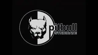 Sega/Infogrames/Pitbull Syndicate/MPEG Sofdec (1999)