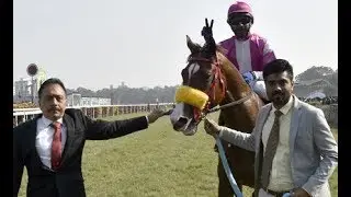 Rewalding ridden by B Mahesh wins The Madras Race Club Cup