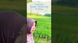 Pagi pagi cek tanama padiku di ladang #aishwanahla #minivlog #seharianlucu #berkebun #sawah #firal
