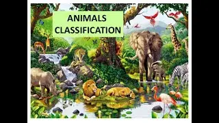 std 11th  Topic - Animal classification   lecture no 3
