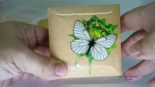 Exotic Butterfly in 3D Silver Coin - Mongolia