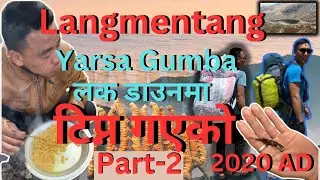 Part-2 Way To Langmentang #vlog #firstvideo #firstvlog #trending #youtube #jdfamily #newmovie #movie