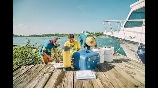 1,911 Lionfish Removed in ONE day! | Splash Lionfish Derby 2025