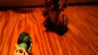 Epic Poke'mon Battles