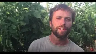Thanks Field Goods, from Juniper Hill Farm