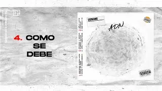 4.- Como Se Debe - Razeth