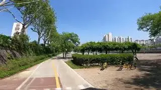 Colorful Daegu