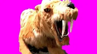 ДВИЖУЩИЕСЯ ГИГАНТЫ МАМОНТЫ И ДИНОЗАВРЫ MOVING GIANTS MAMMOTHS AND DINOSAURS