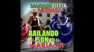 Suave, Y Sabroso - Mariachi Fiesta Mexicana