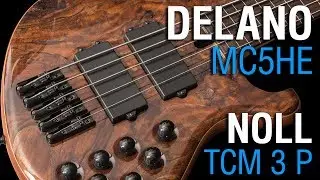 Delano MC5 HE + Noll TCM 3 P // Maruszczyk Frog Omega 5a fretless