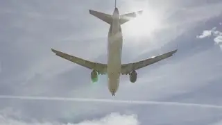 Frontier Airlines Will No Longer Book Emotional Support Animals On Flights