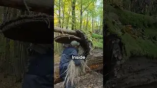 Turning Tree Stump Into Survival Shelter