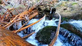 Frozen Stream in Snowy Forest | Winter Nature Sounds for Sleep