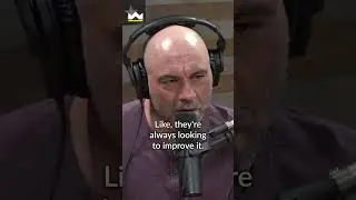 Joe Rogan: Overcoming Self-Criticism - Your Journey to Success and Motivation