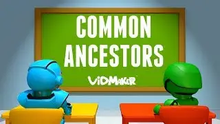 Common Ancestors: Life on earth is related through our last common ancestors