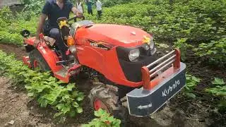Kubota A211N tractor 4 feet cotton with KRX71D 3feet rotary verry nice#kubota #A211N #kubotaIndia