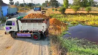 Excellent Starting New Landfill Task! Huge size by Dozer & Dump Truck 5Ton fill Flooded Land