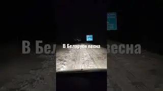 Беларусь замело, трасса Гомель - Минск / Belarus is covered in snow, the Gomel - Minsk highway
