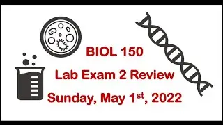BIOL150 Lab Exam 2 review