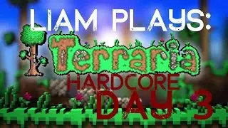 Terraria HARDCORE Challenge: Day 3 I DIED ?! WAIT WHAT