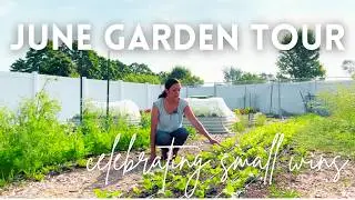 Early Summer Garden Tour | City Backyard Garden