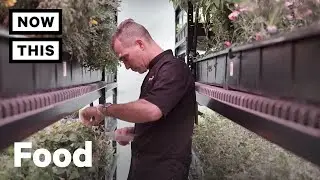 Farme.One is an Eco-Friendly Farm in the Heart of New York City | NowThis
