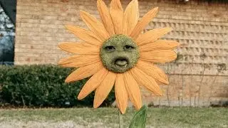 Real Life Plants Vs Zombies