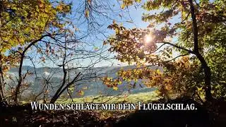 Der Dichter - Rainer Maria Rilke