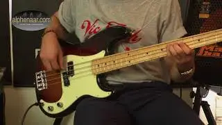 Fender American Professional Precision Bass www.alphenaar.com Sjoerd Jansen