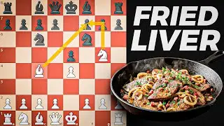 Master Fried Liver Attack in Chess in 27 Minutes