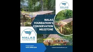 Malas Foundation's Conservation Milestone