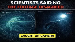 7 Deep-Sea Creatures Scientists Thought Were Monsters (Footage Analyzed)