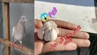 علاج الكخه او العطسه 😱