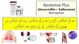Bactamox Plus Injection Uses in Urdu || Bactamox 3G How To Use || Amoxicillin and Salbactum Uses