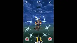 CRAZY SPAWN AT POKEMON GLOBAL GO FEST.