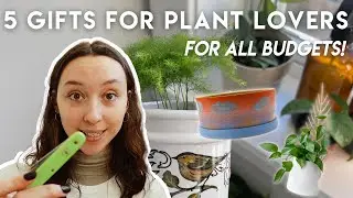 2022 gift guide for houseplant lovers | gift ideas for every budget & discounts 👀