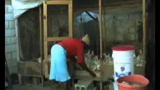 Haiti: Women Take on New Businesses