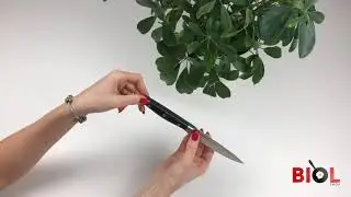Видео обзор: Нож универсальный Fissman Demi Chef из нержавеющей стали 12 см 2371