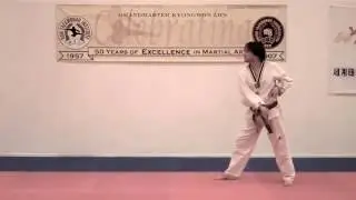 Shin Ho Kwan Double Knife Form