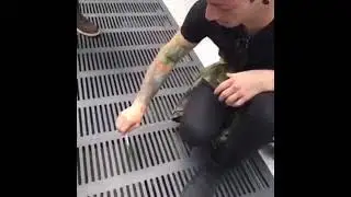 Josh dun vines