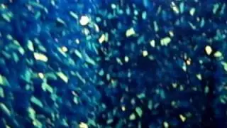 A short tour of Seizure by Roger Hiorns.