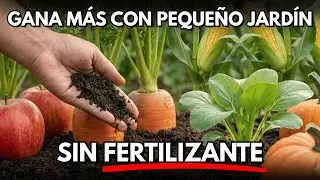 Jard&iacute;n Peque&ntilde;o, Frutas ENORMES: 7 &Aacute;rboles Frutales que el Sistema Prefiere Ocultar