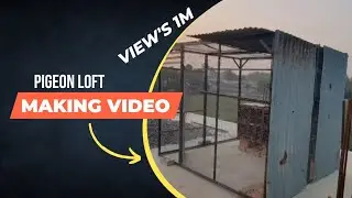 Biggest Pigeon Loft | Making Video | Time Lapse | DIY | Homing Fancy Pigeon   | Birds Cage