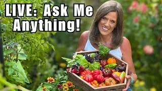 LIVE: Garden Q&A&mdash;Tomatoes, Vine Borers, Drip Irrigation + More