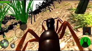 Ant Simulation 3D Insect Survival Game Android Gameplay #02