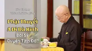 Phật Thuyết A Di Đà Kinh | Bài 59 - Duyên Tịnh Độ | HT Thích Thái Hòa giảng