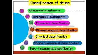 Classification of crude drug