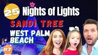 Sandi Tree | West Palm Beach, FL | 25 Nights of Lights 7 of 25