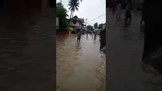 Aluva flood