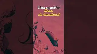 Ora con profunda humildad #jesus #reflexion #palabradios #reflexionesdeldia #diosesvida